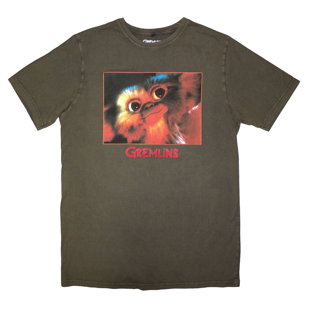 Gremlins Gizmo Photo Limited Edition 999 Only Premium Wash product image 1