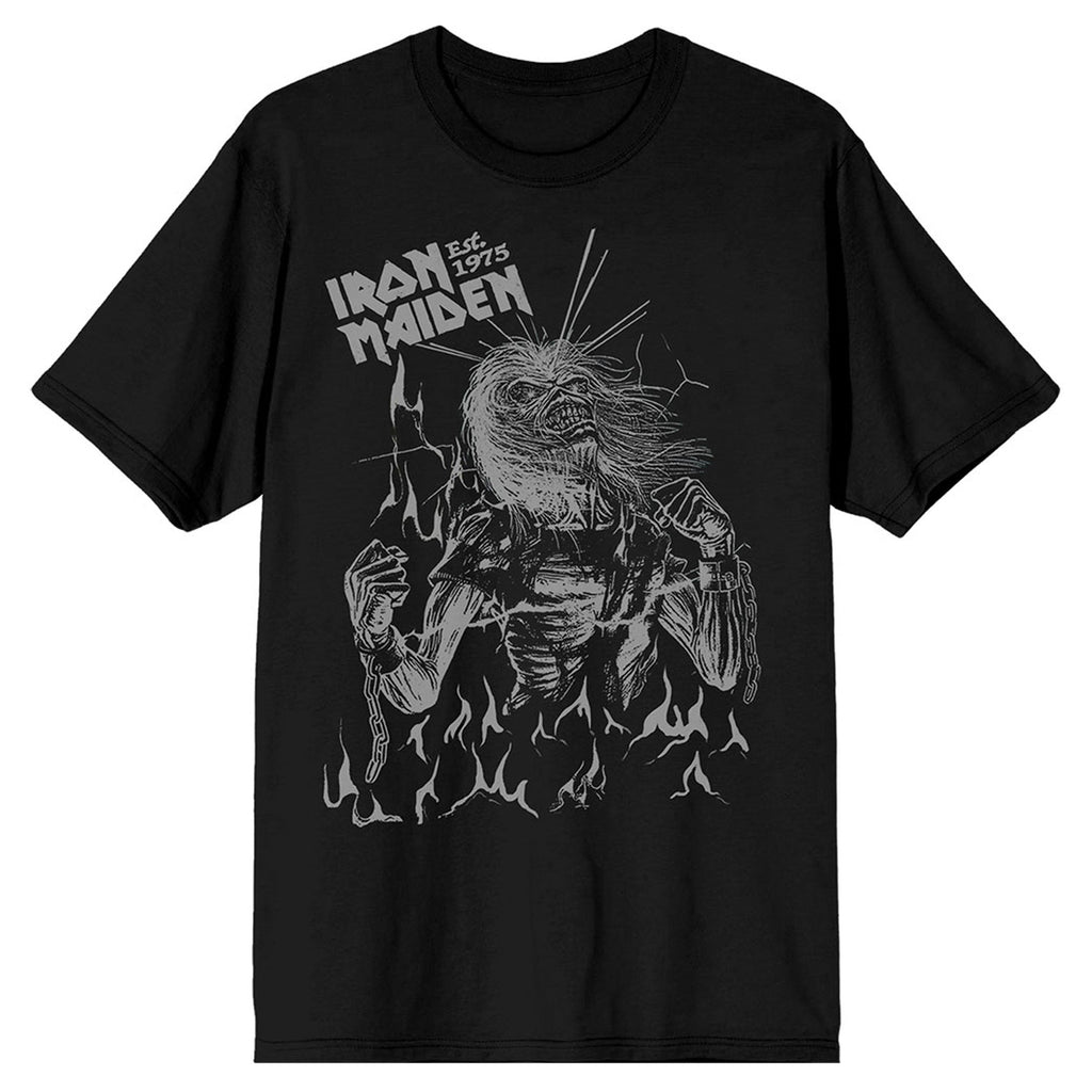 Iron Maiden Est 1975 Life After Death Flames T Shirt product image 1