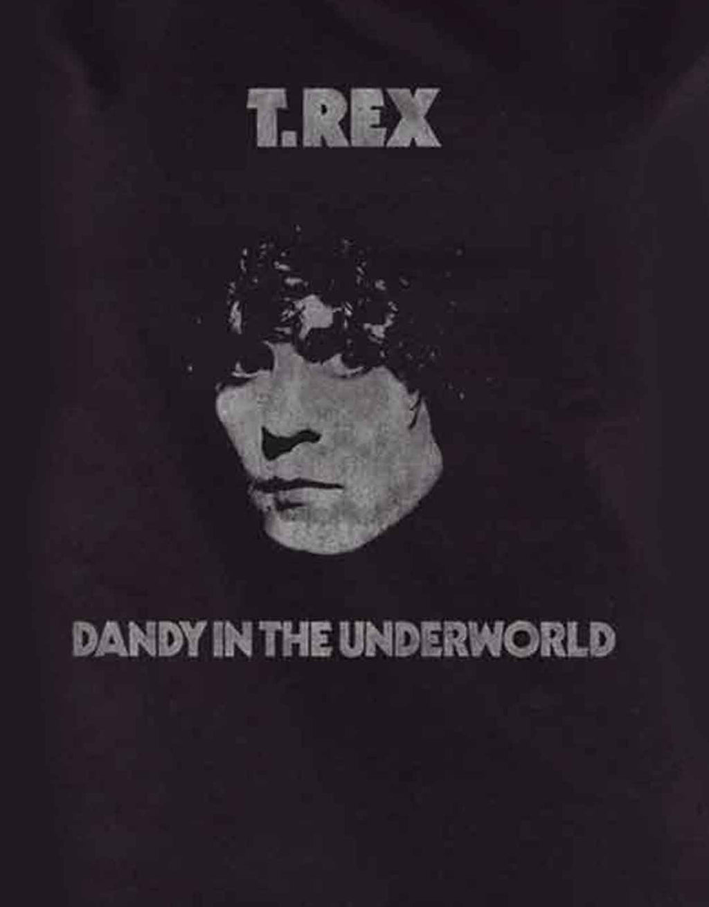 T Rex Dandy Logo Skinny Fit T Shirt product image 2