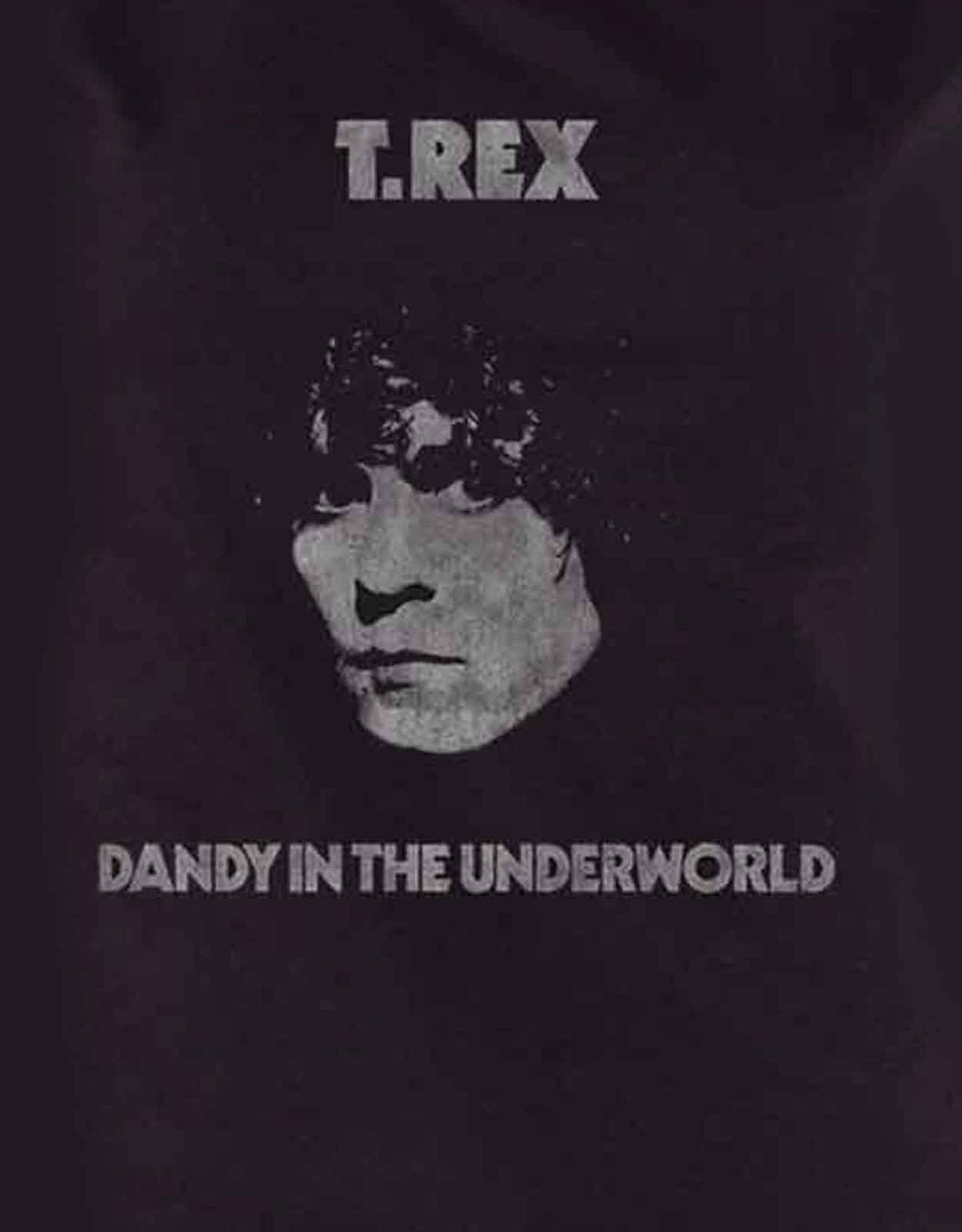 T Rex Dandy Logo Skinny Fit T Shirt product image 2